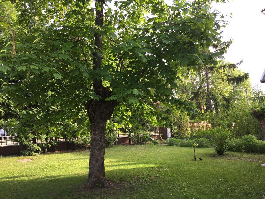 Palma Apartmanhaz Siofok Dış mekan fotoğraf