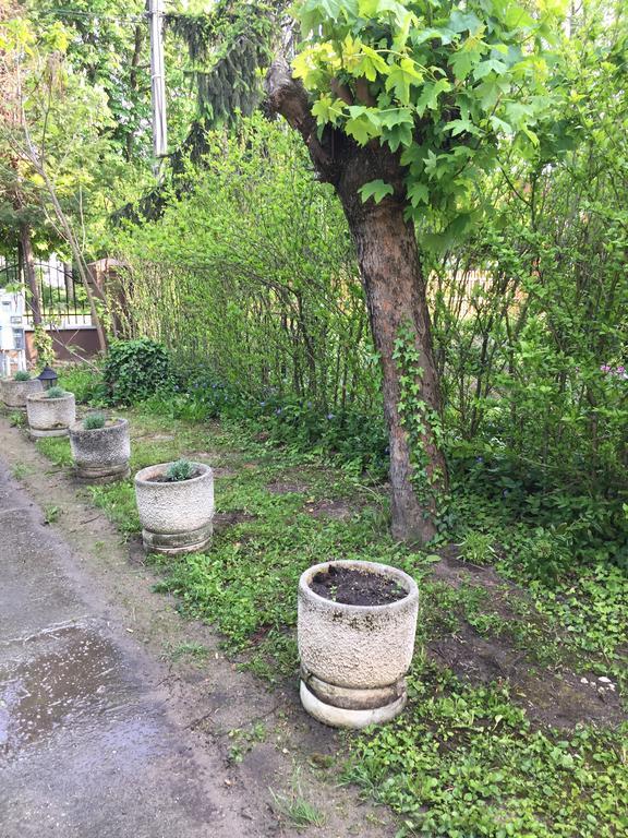 Palma Apartmanhaz Siofok Dış mekan fotoğraf